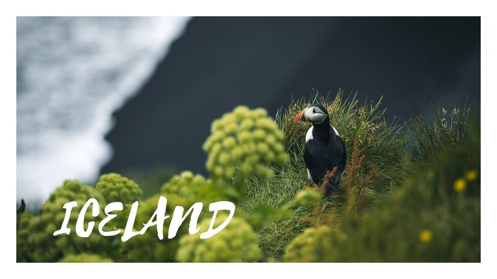 Discover Iceland | olympusXplorers