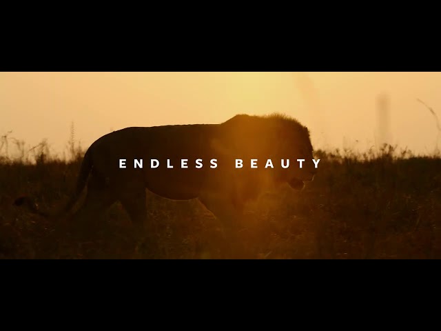 Endless Beauty by Chris Schmid | A Sony α7S III short movie