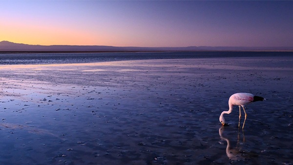 nikon-z-20mm-objektiv-lowlight-example