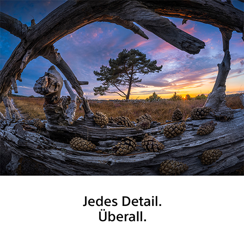 Sony FE 8–14 mm F/3.5 Fisheye G Objektiv