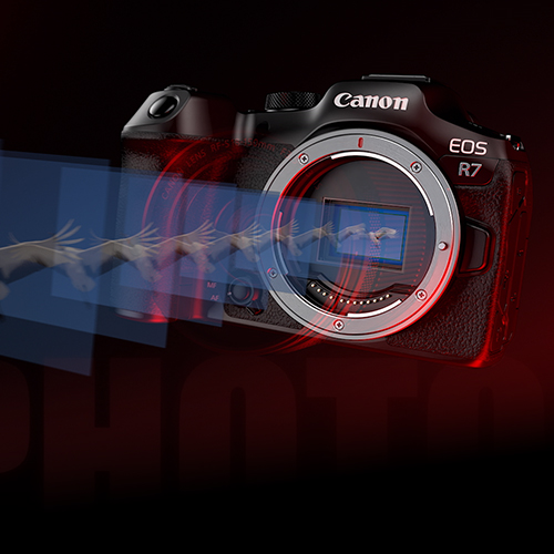Canon-EOS-R7-11J79uJmxZOx7SM
