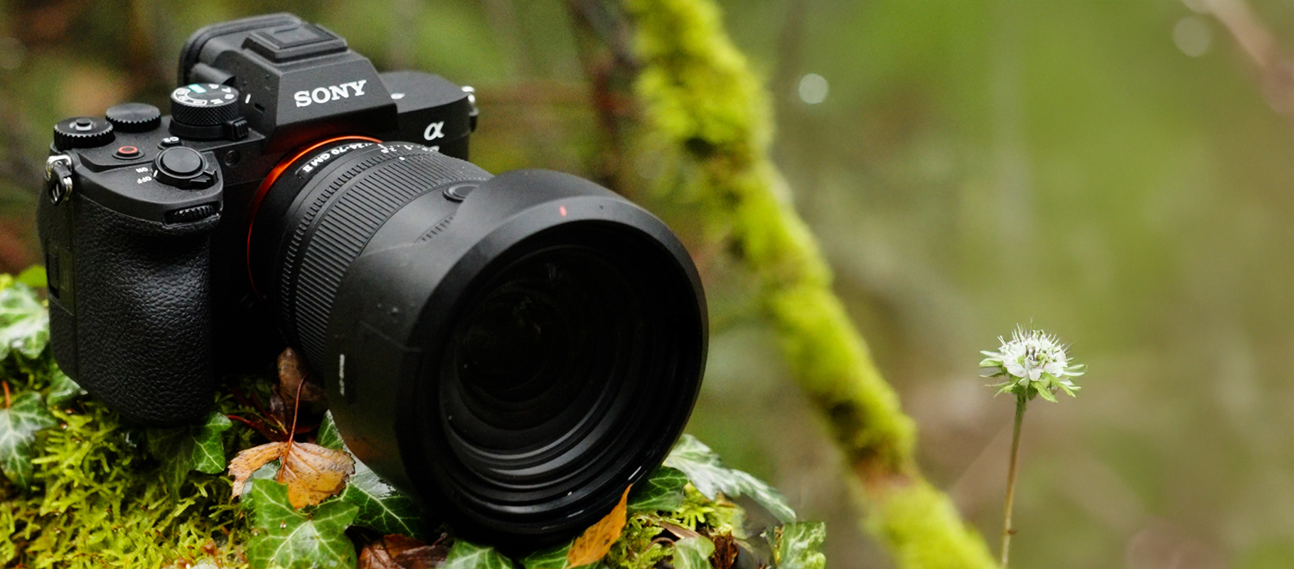 Desktop Ansicht - Die Brandneue Sony Alpha 7 V ist erschienen