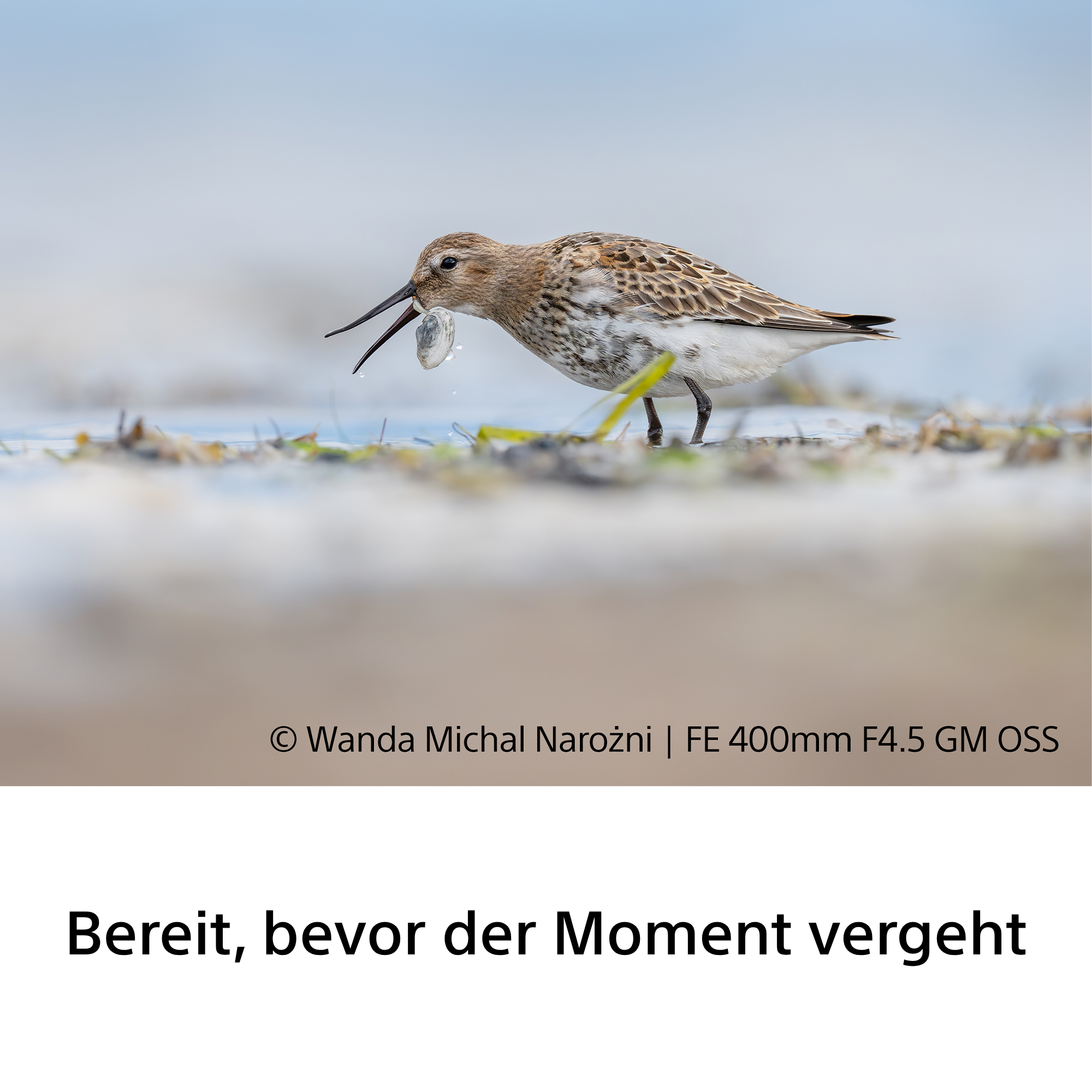 Sony FE 400mm f/4.5 GM OSS Objektiv
