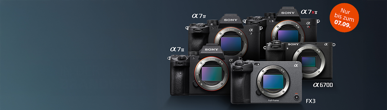 Sony Brandweek Aktion - Kategorie Sujet