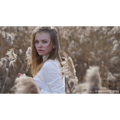 sony-fe-100mm-f2-8-stf-gm-oss-vollformat-objektiv-fotografie