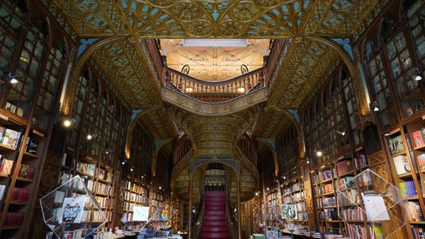 sony-fe-24mm-f1-4-objektiv-library