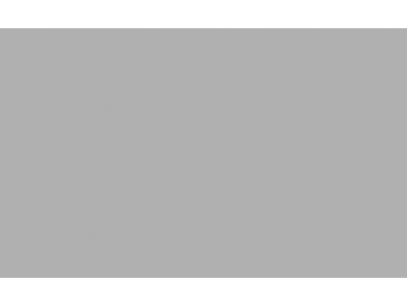 Multiblitz-Hintergrund-1-35x11m-Plaza-Gray-BD-119-A2-2