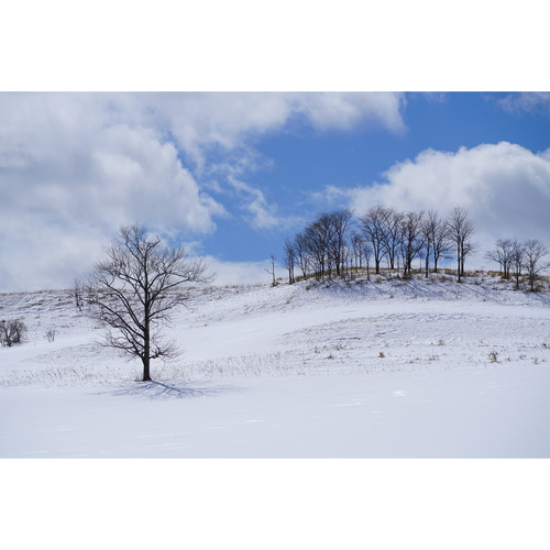 sony-fe-100-400mm-f4-5-5-6-gm-oss-schnee