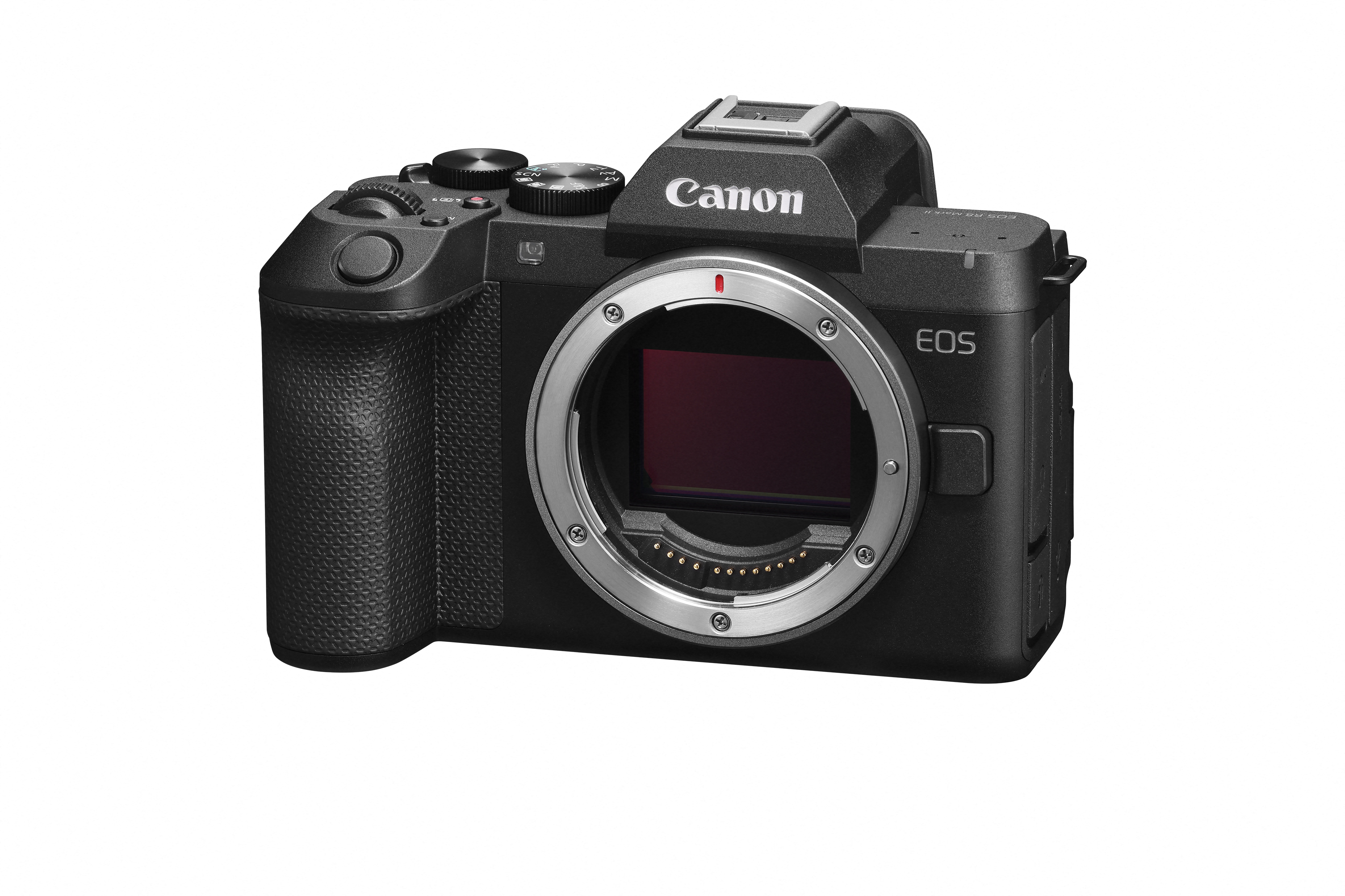 Canon EOS R8 Mark II Gehäuse