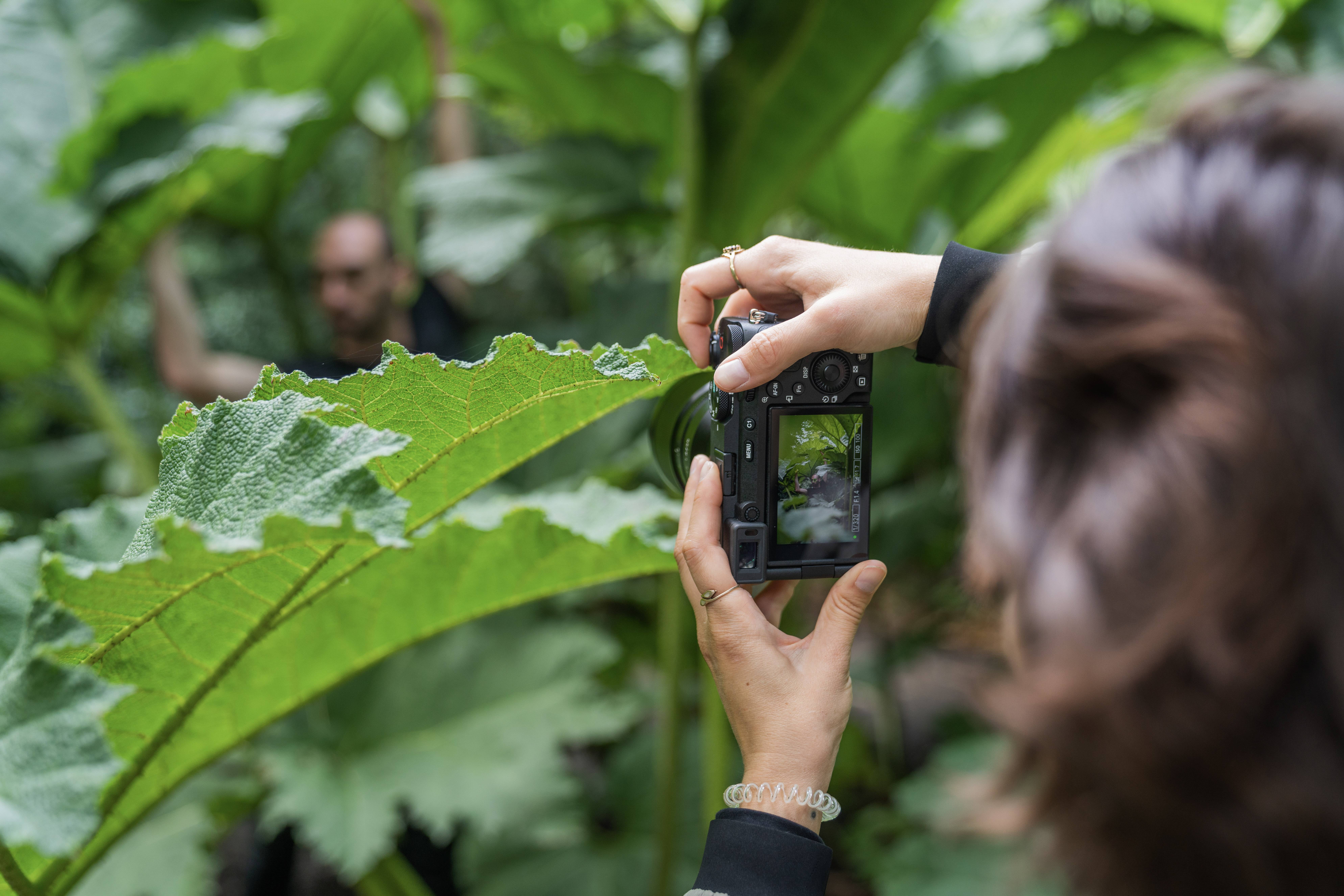 8-ILCE-7CR-Black-Situation-Image-Laura-Zalenga-NOT-MANDATORY