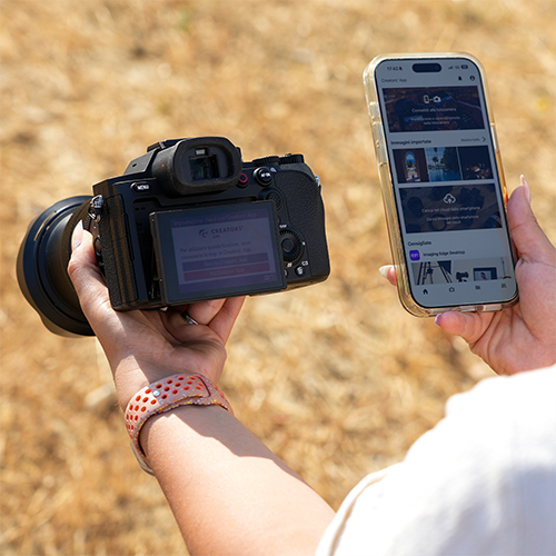 Kabellose Bildübertragung von der Sony RX10 V auf ein Smartphone.