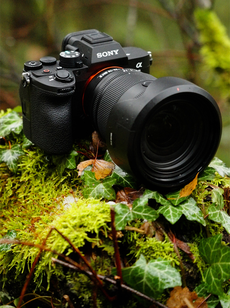 Mobile Ansicht - Die Brandneue Sony Alpha 7 V ist erschienen