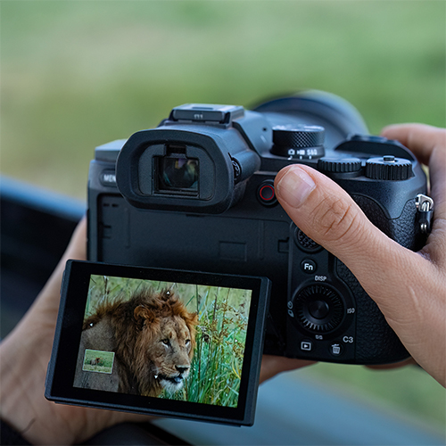 Ausgeklapptes Display der Sony RX10 V mit Löwen-Motiv.