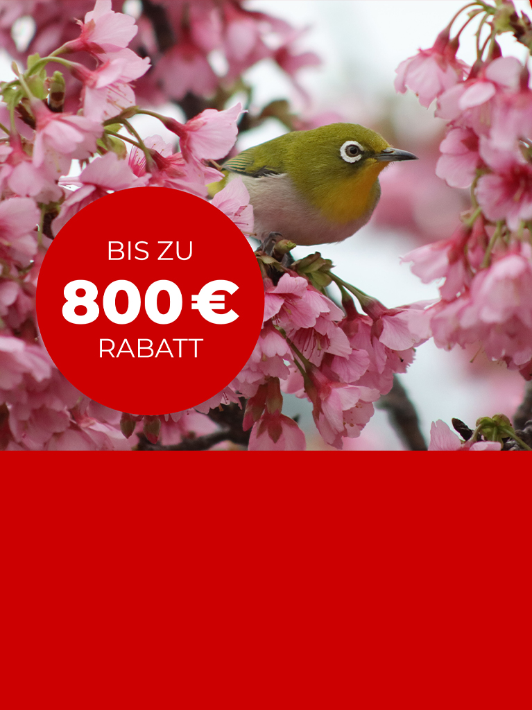 Canon Frühlingserwachen Mobile-Banner: Bis zu € 300 Cashback auf ausgewählte Kameras.