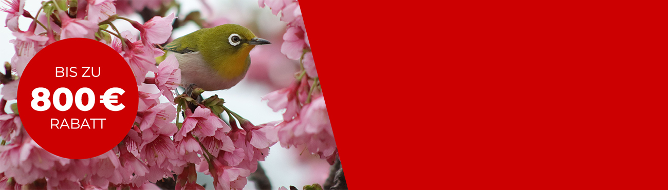 Aktions Fliese Canon Frühlingserwachen: € 300 Cashback auf EOS R Kamera und RF Objektive.