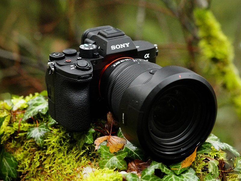 Sony Alpha 7 V - Kamera liegt mit Ihrem herausragenden gehäuse in der Natur
