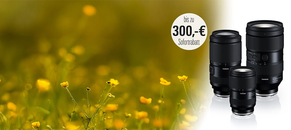 Panorama-Webbanner für die Tamron Premium Zoom Aktion mit drei Objektiven vor gelber Blumenwiese und 300 Euro Sofortrabatt-Badge.