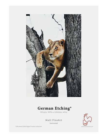 Hahnemühle German Etching 310 g/m² 25 Blatt A4