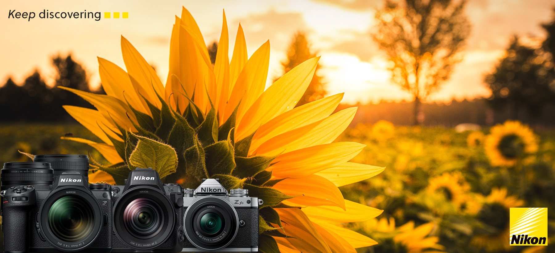 Nikon Sommer Sofortrabatt 2026 bis 1000€ sparen Desktop Banner
