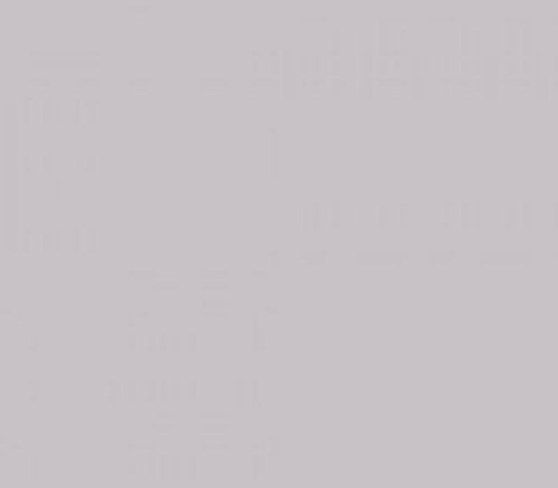 multiblitz-hintergrund-1-35x11m-grau-bd150a2599ac95a115fa