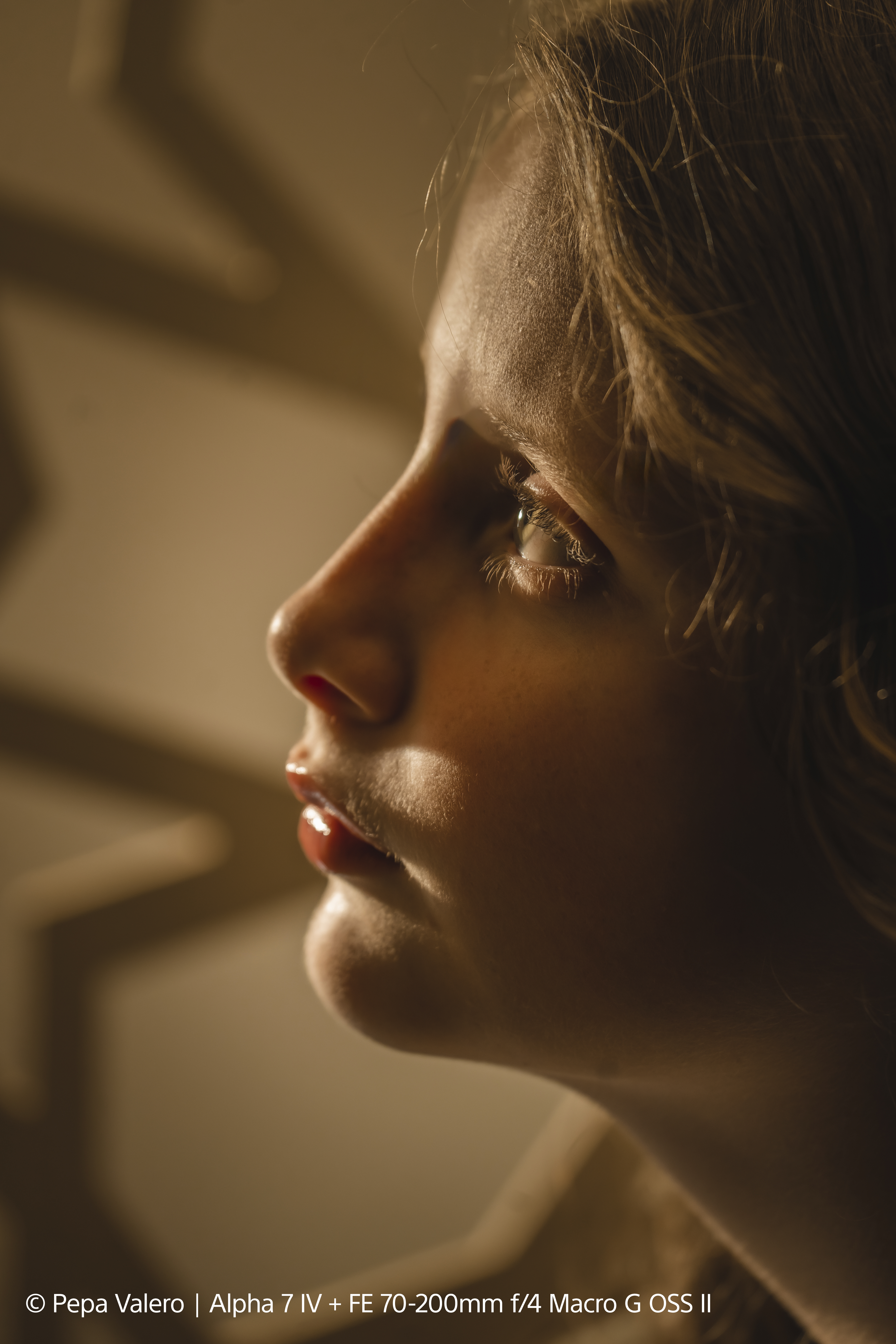 7-pepa-valero-vx8036-sample2