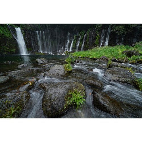 sony-fe-16-35mm-f2-8-g-master-objektiv-wald