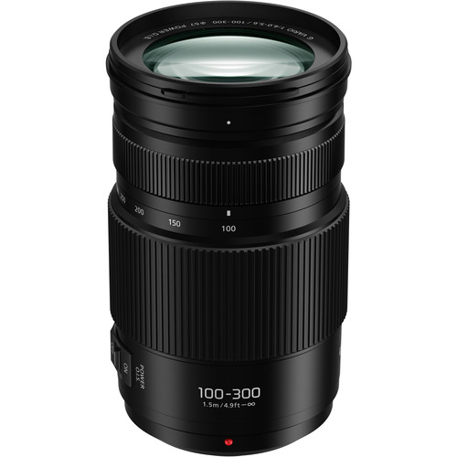 Panasonic Lumix G Vario 100-300mm f/4-5.6 O.I.S. II Objektiv