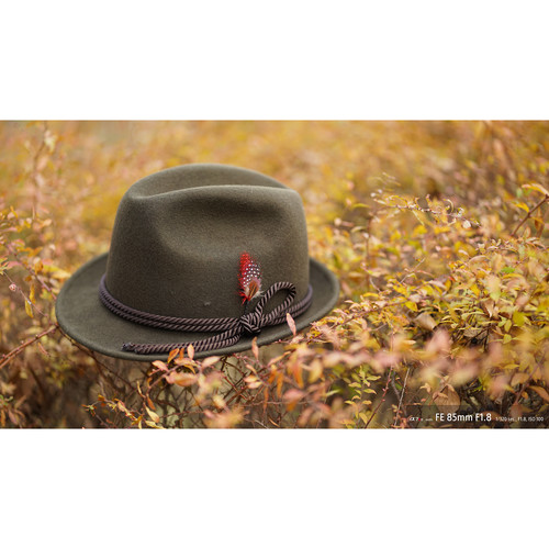 sony-sel-85mm-f1-8-vollformat-objektiv-beispiel