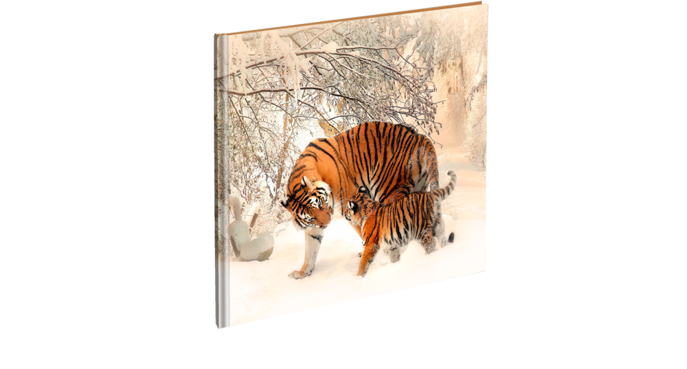 Hardcover_Winter