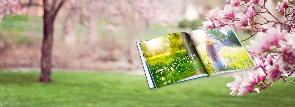 Titelbild_Frhling-1000x365
