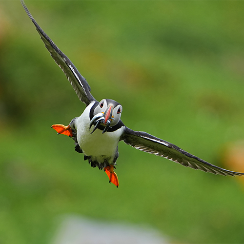 Sony-Alpha-6700-Schwarz-476OkMJWBBdBrw