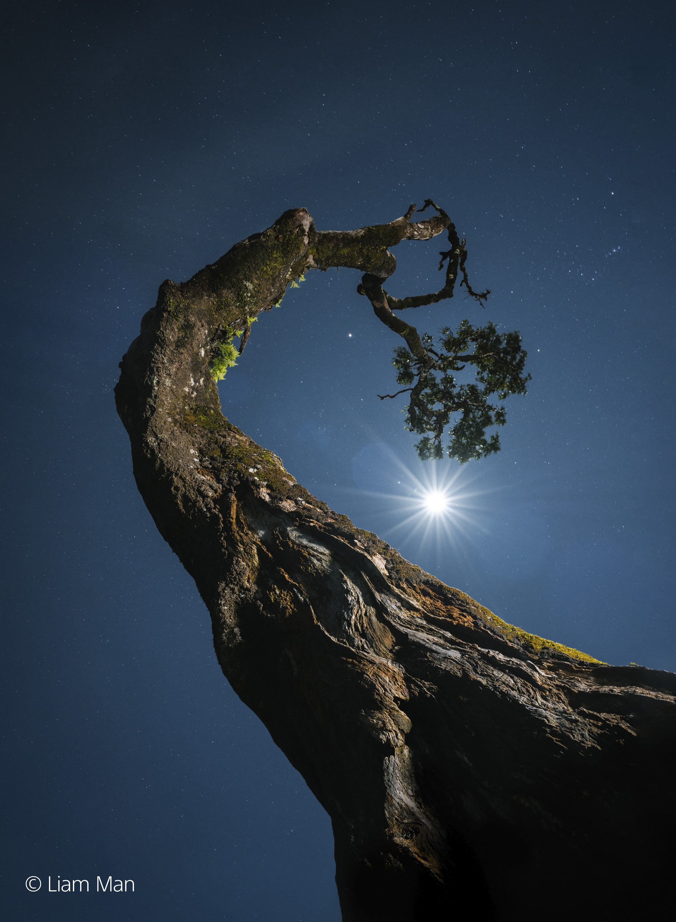 6-SEL2070G-Sample-Image-Liam-Man