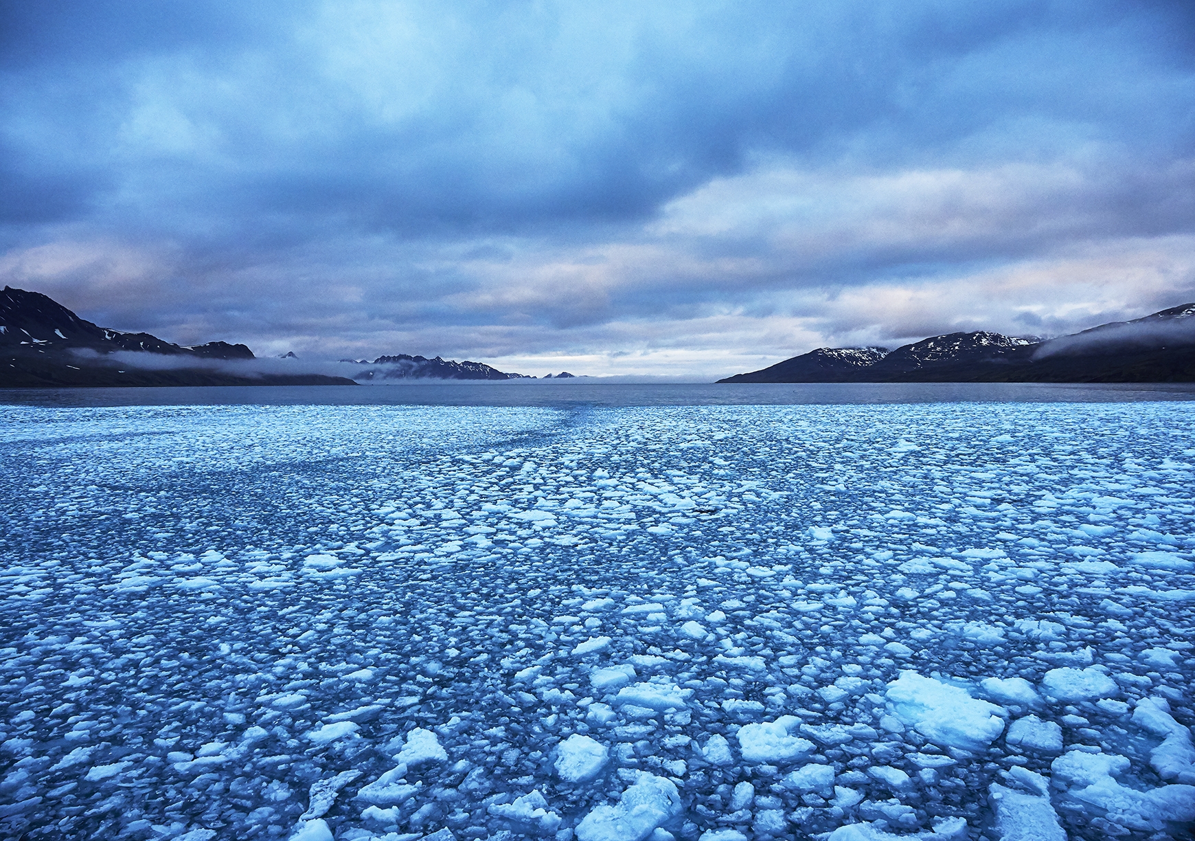 E-M1 Mark II & Olympus Pro - Faszination Antarktis Gosling07