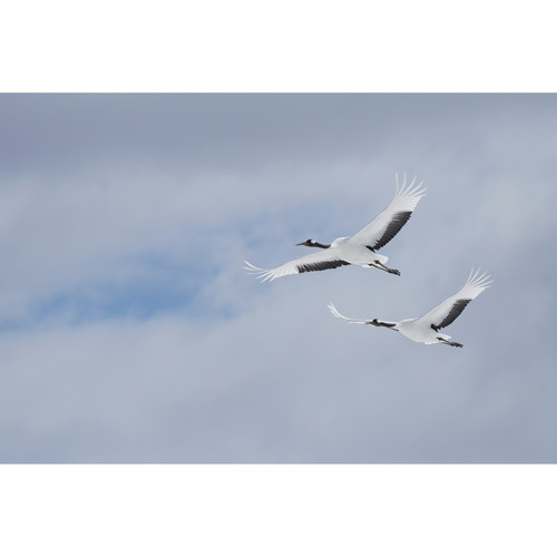 sony-fe-100-400mm-f4-5-5-6-gm-oss-flight