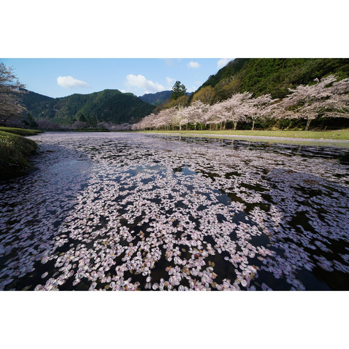 sony-fe-12-24mm-f4-g-objektiv-see