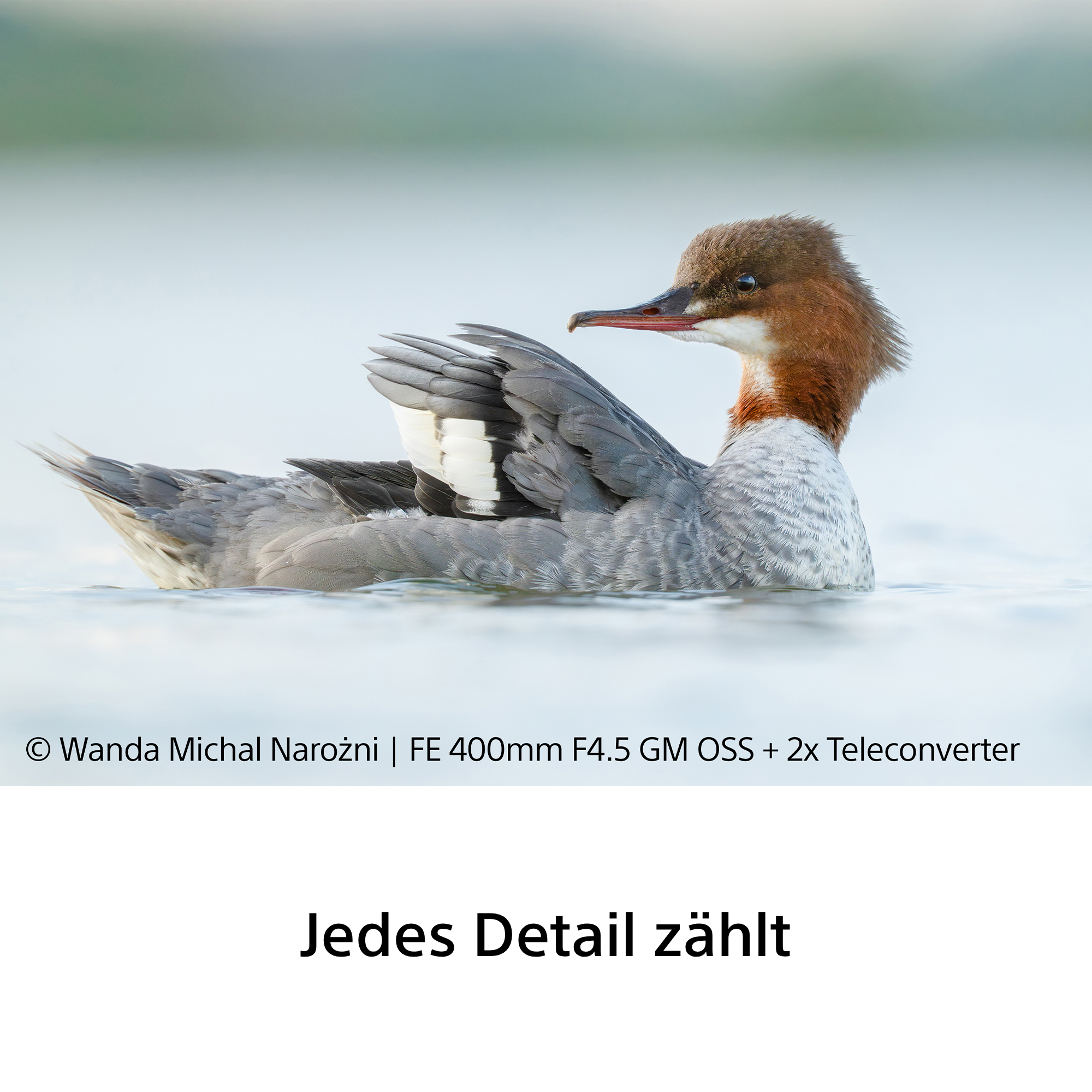 Sony FE 400mm f/4.5 GM OSS Objektiv