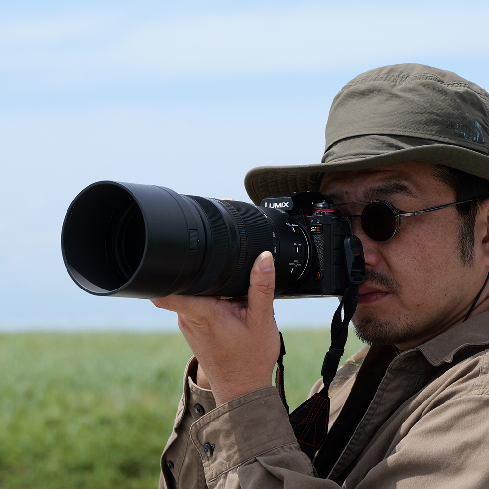 Panasonic 100-500mm in verwendung