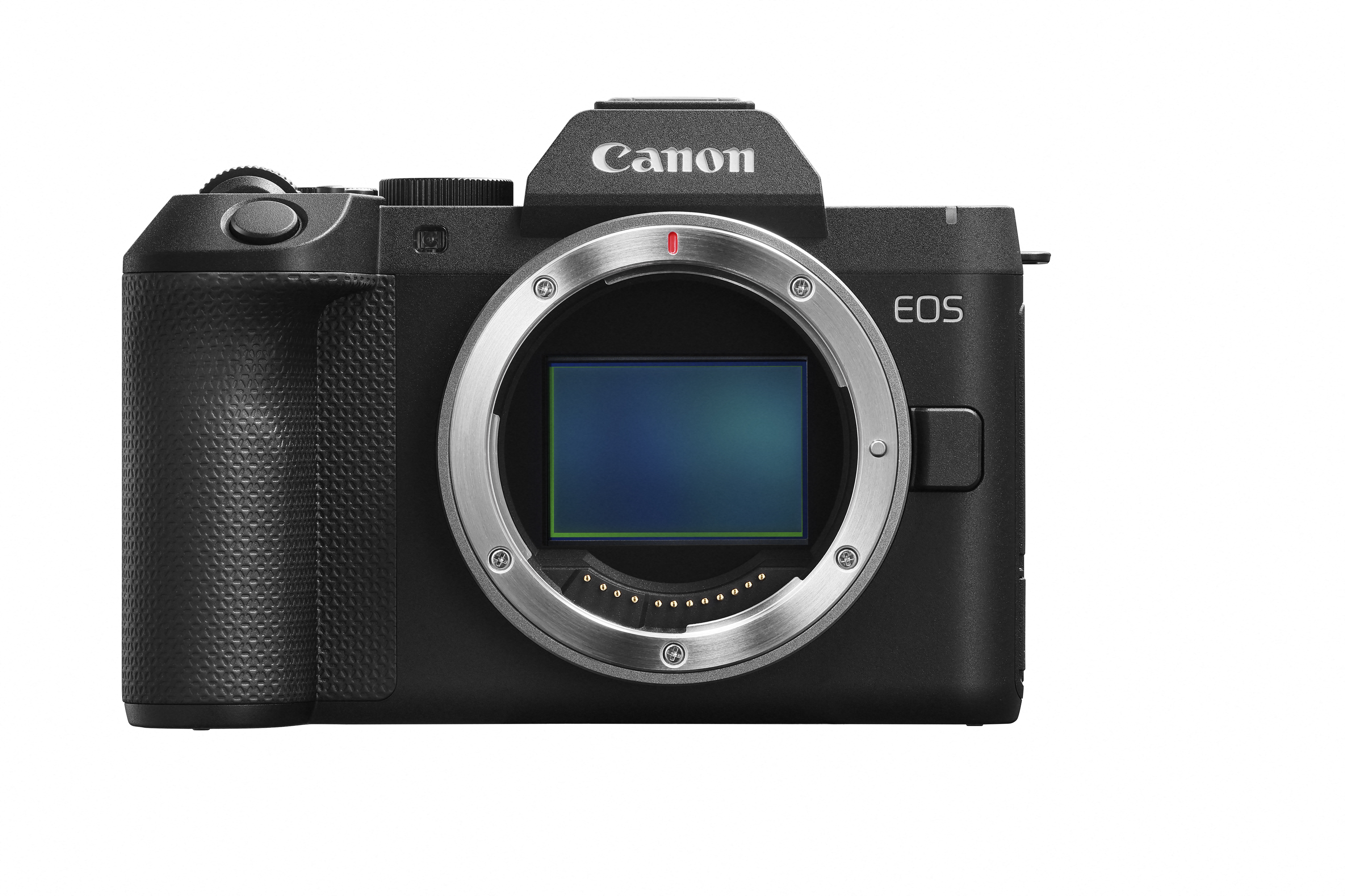Canon EOS R8 Mark II Gehäuse
