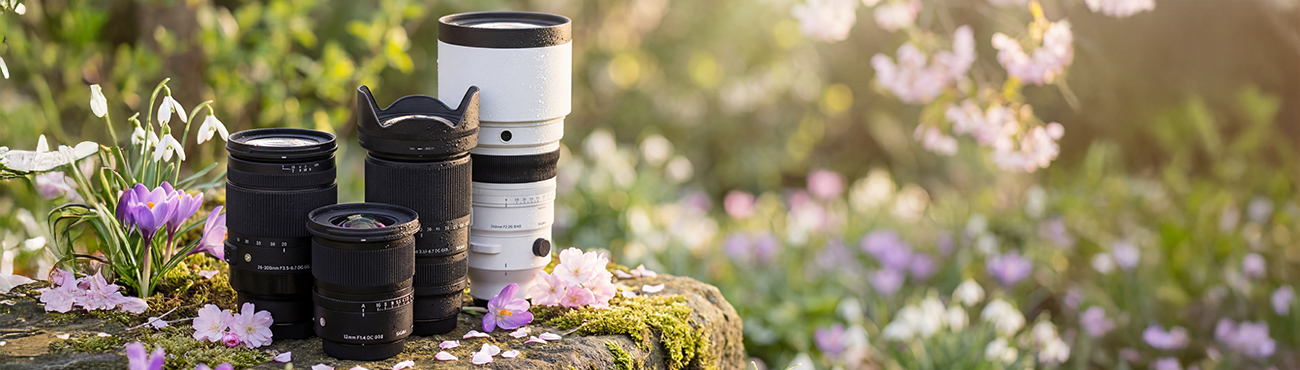 Sigma Spring Cashback Sujet: Hochwertige Sigma Objektive für den perfekten Start in die Frühlingsfotografie.