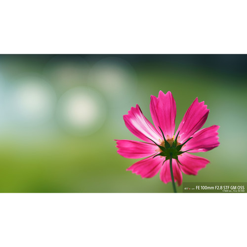 sony-fe-100mm-f2-8-stf-gm-oss-vollformat-objektiv-foto