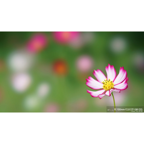 sony-fe-100mm-f2-8-stf-gm-oss-vollformat-objektiv-beispiel